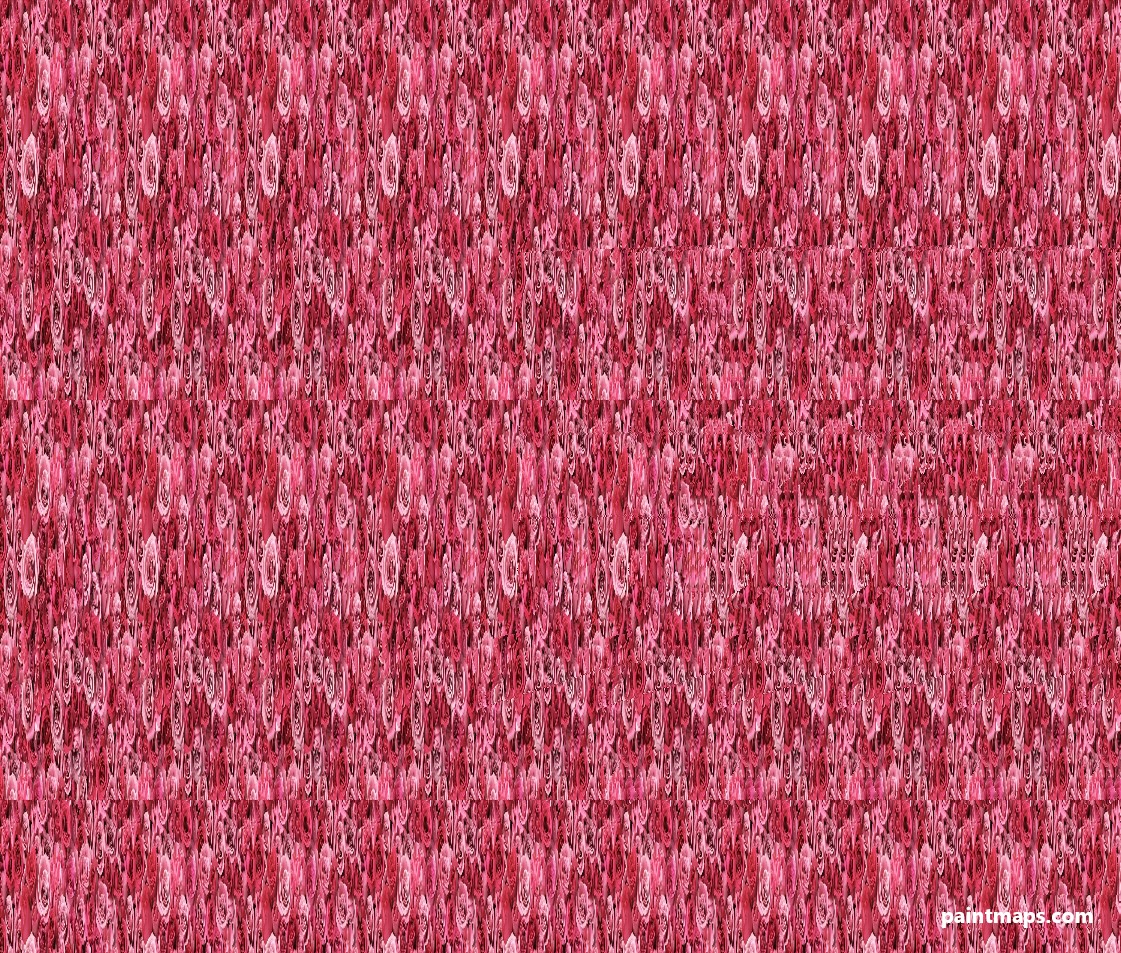 Rhode-Adasi Haritası - 3D Stereogram (Şaşı Bak Şaşır)